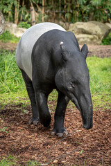 Paris France  The Menagerie