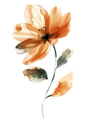 Watercolor Flower from Background - 782086078