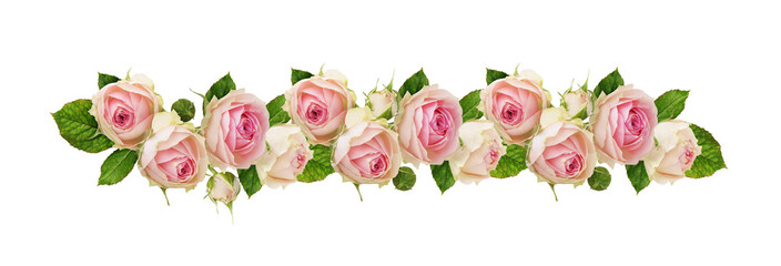 Small pink rose flowers in a line floral arrangement isolated on white or transparent background - 782087820