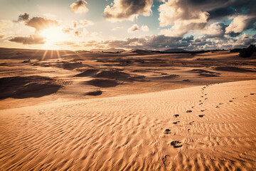 Sunrise in the desert and dunes in the Wilsons Promontory National Park, Australia