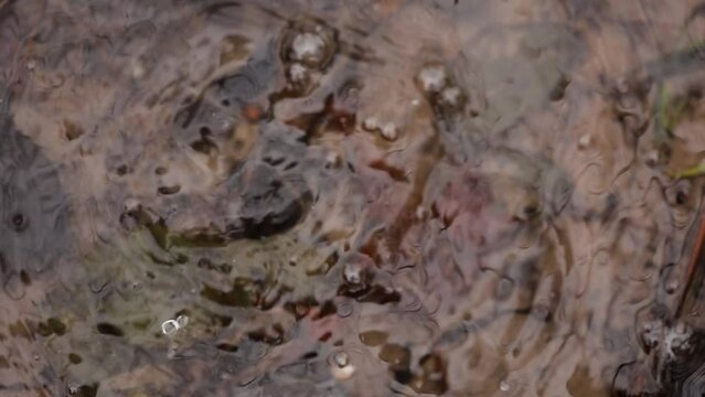 Top view of drop falls into water and diverging circles of water in nature in slow motion.