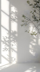 Twig shadows of a tree on a white wall, creating beautiful tints and shades
