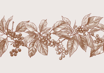 Coffee tree. Branch with leaves and berries. Seamless pattern, background. Vector illustration. In botanical style - 782094842