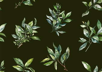 Branch with leaves of green tea. Seamless pattern, background. Vector illustration. In botanical style - 782095418