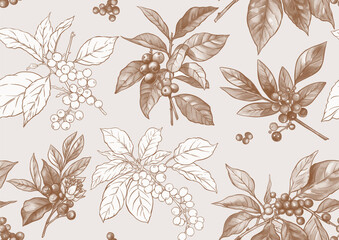 Coffee tree. Branch with leaves and berries. Seamless pattern, background. Vector illustration. In botanical style - 782095656