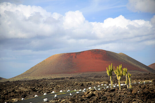 Vulkankegel auf der Insel Lanzarote, Kanaren, Spanien, Europa