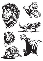 Graphical big set of African animals on white background, vector illustration	