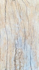 
The surface of the old wood has a light gray color.