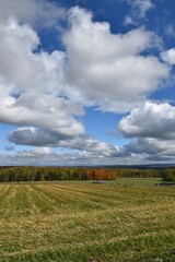 A Field in the Fall, Québec, Canada
