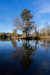 reflection of tree in little peninsula in blue water in Muskoka, Canada