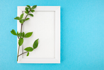 white wooden photo frame and branch with leaves on blue