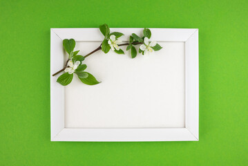 white wooden photo frame and branch with leaves on isolated green background