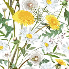 Seamless pattern with flowers - Taraxacum, Chamomilla and grass isolated on the white background. Hand-drawn illustrations of wildflowers.