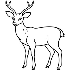       Deer  vector illustration style.
