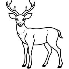       Deer  vector illustration style.

