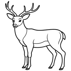Fototapeta premium Deer vector illustration style. 