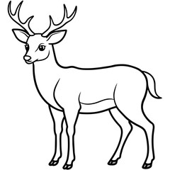       Deer  vector illustration style.
