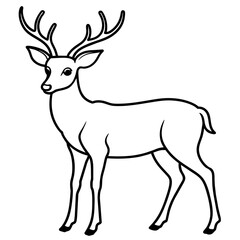       Deer  vector illustration style.
