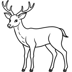       Deer  vector illustration style.
