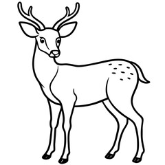       Deer vector illustration style.
