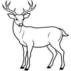       Deer vector illustration style.
