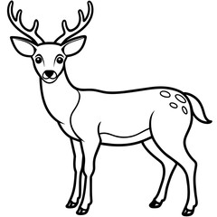       Deer vector illustration style.
