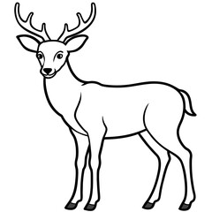       Deer vector illustration style.
