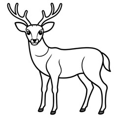      Deer  vector illustration style.
