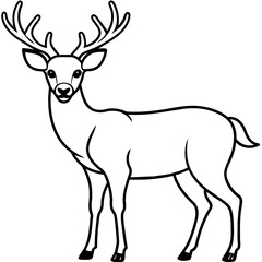       Deer vector illustration style.
