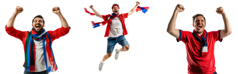 Soccer fan celebrating