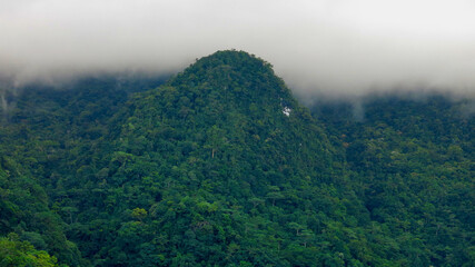 Clouds in the mountains. The top of a mountain covered with green jungle on a tropical island among thick clouds.