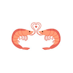Love shrimp valentine day. pink shrimp on the white background