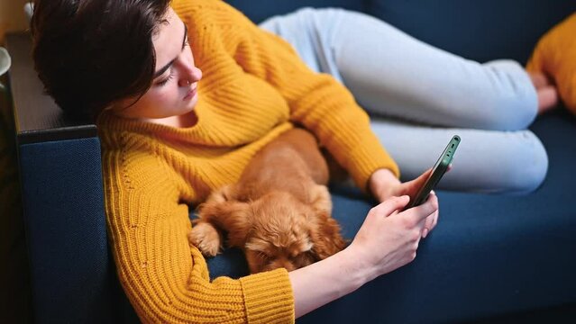 Young woman pet owner resting with her English Cocker Spaniel puppy and using a mobile phone while lying on the sofa