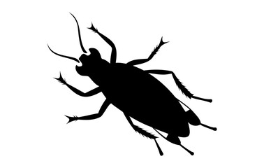 Silhouette of a cockroach isolated on white background. Black cockroach vector illustration. Concept of pest control, infestation, and home hygiene. For design, print and educational material.