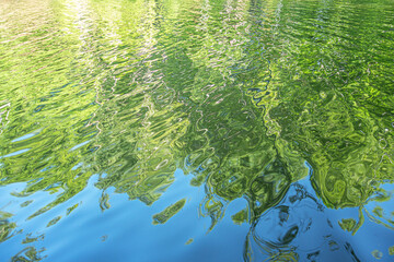 abstract background of green foliage reflections in the forest lake water