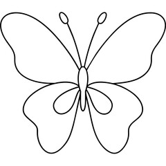 butterfly isolated on white vector illustration