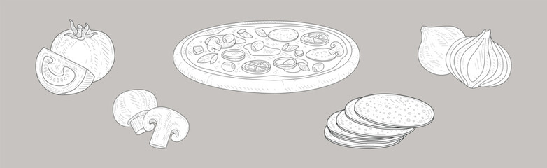 Hand Drawn Ingredients for Pizza Sketch Vector Set