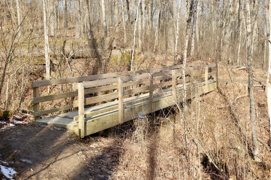 The wood footbridge on the trail in the woods.