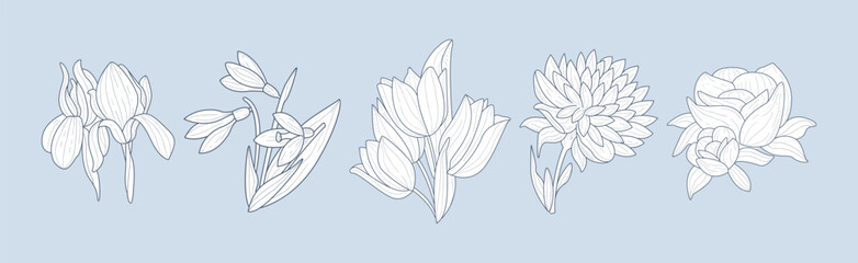 Lush Garden Flower Hand Drawn Element Vector Set