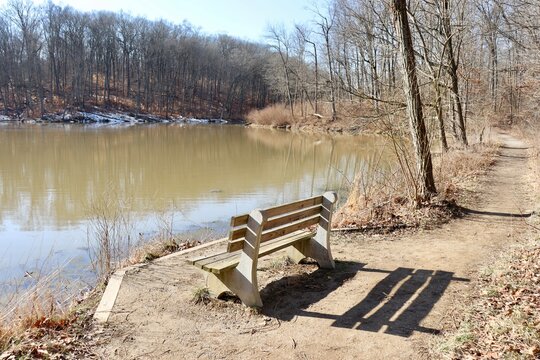 The empty bench at the lake in the woods.