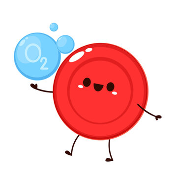 Red blood cell character design. Red blood cell vector. free space for text. Water symbol vector. Oxygen O2 molecule models blue and chemical formulas.