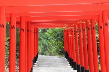 Foto auf Acrylglas 日本の神様、朱色の神社の鳥居 © nowa
