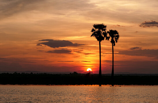 Silhouette, beautiful sunset with two palm trees at the lake.