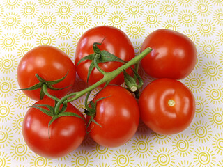 grappe de tomates, vue du dessus, sur une table - 782139888