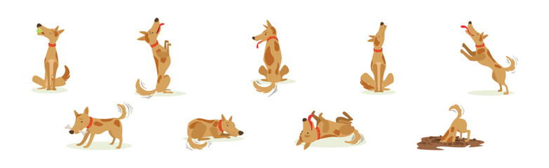 Funny Dog Domestic Pet and Animal in Different Pose Vector Set - 782140241