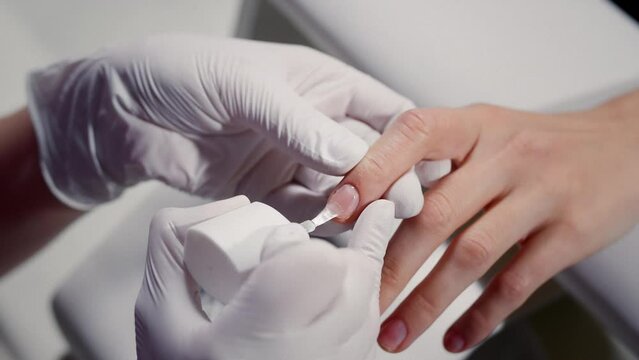 Manicurist applies cover hardener on lady customer nail with brush in cosmetology salon closeup. Cosmetologist covers fingernail with base product in beauty shop. Beautician takes care of client