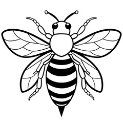           Asian giant hornet bee vector illustration.

