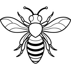           Asian giant hornet bee vector illustration.
