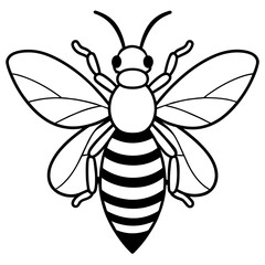           Asian giant hornet bee vector illustration.
