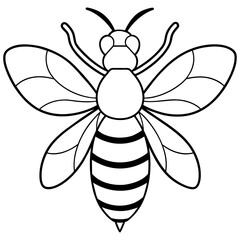           Asian giant hornet bee vector illustration.
